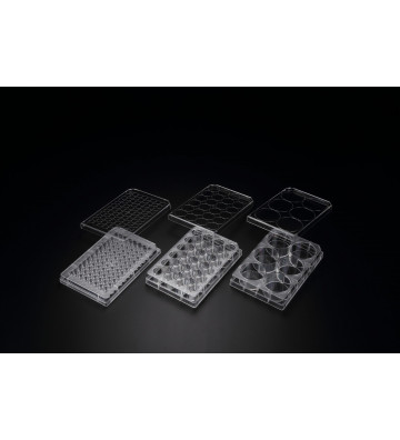 3D Cell Floater 24-Well Plate