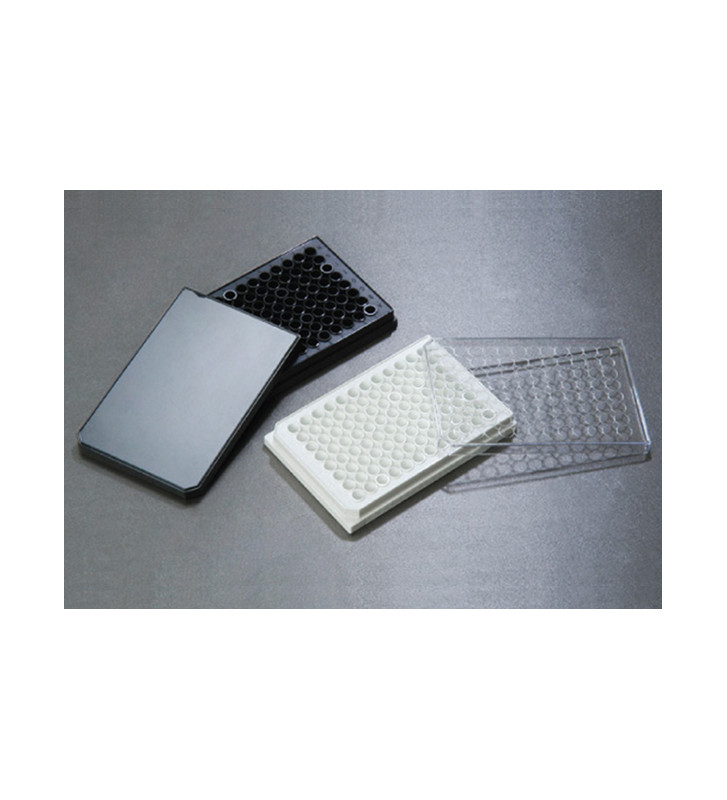 6Well Cell Culture Plate