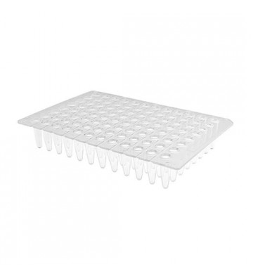 0.2 ml 96-well PCR plate....